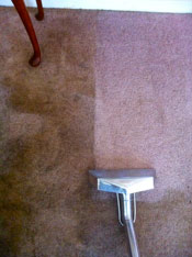 Carpet Cleaning Bedroom